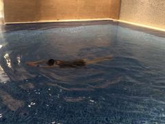 -斯博特游泳俱乐部(永安里店)