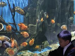 -顺德南宏海立方海洋公园