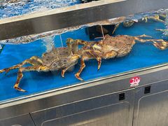 -盒马X会员店(上海森兰商都店)