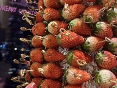 -嘉定凯悦·咖啡厅