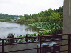 -上海怡沁园度假酒店