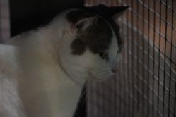 -酷嗒动物文化乐园(cutezoo西溪乐天城店)