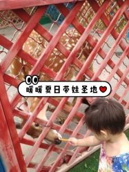 -萌宠亲子动物乐园(槐房万达店)