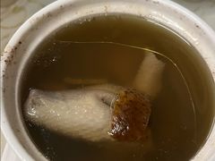 药膳乳鸽汤-百利鸽王(紫薇路店)