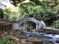 -广州市石门国家森林公园