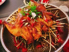 -Hi City·城市之巅