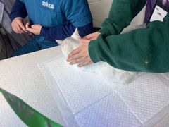 -萌兽医馆·宠物医院·猫骨科(创景店)