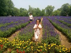 android_upload_pic-赫图阿拉城