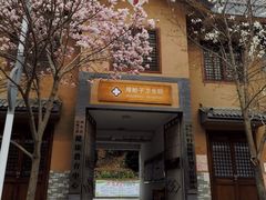 -黑河国家森林公园