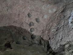 android_upload_pic-中国西峡恐龙遗迹园