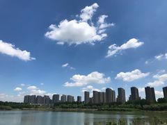 -丁香湖公园