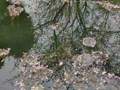 -成都杜甫草堂博物馆