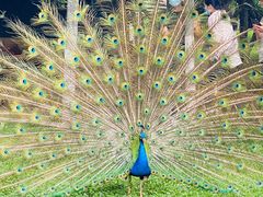 -昆明动物园