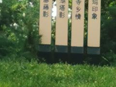 -北坞公园