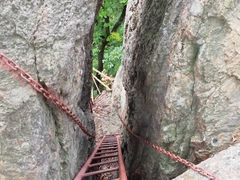 -天女山森林公园