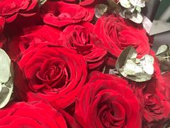 -ChaKo Flora ·茶子花艺 (市北店)