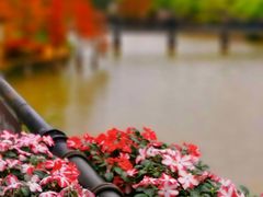 -中旅阿那亚九龙湖·公主酒店