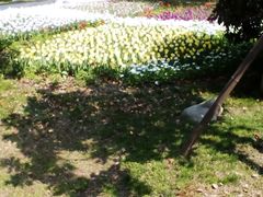 -上海鲜花港