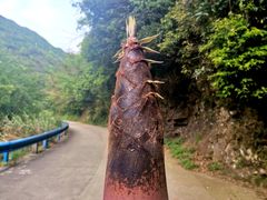 -宁波五龙潭景区