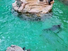 -北海海底世界