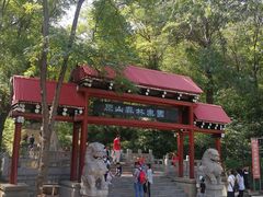 -原山国家森林公园