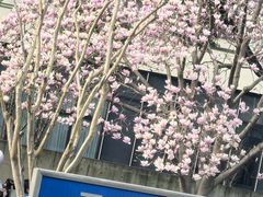-苏州观前平江美居酒店