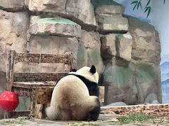 -无锡动物园·太湖欢乐园