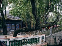 -宝墨园景区