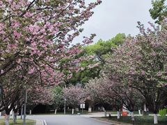 -长沙市青少年宫