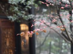 -鱼桥巷·美学川菜