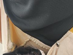 -纳吉亚猫专科动物医院·北北分院