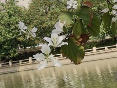 -南丰汇(新港东路店)