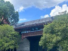 -八大山人梅湖景区