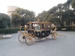 -金庭庄园酒店彩虹厅