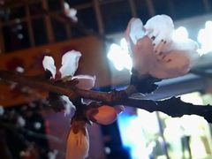 -哈尔滨大剧院
