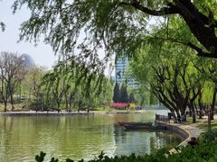 -团结湖公园