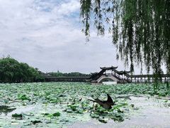 -锦溪古镇