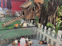 -广州长隆国际大马戏