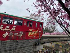 -关岳庙