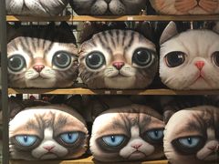 -猫咪博物馆(顶澳仔猫街店)