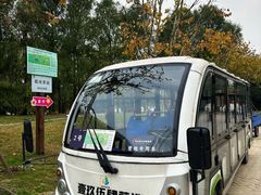 -上海海湾国家森林公园