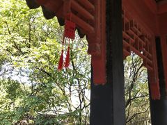 -长发西饼(临顿路店)