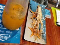 -千岛蚝高压锅生蚝·人参火锅(白云万达店)