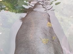 -成都动物园