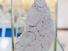 -四川大学(华西校区)