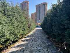 -哈尔滨音乐公园