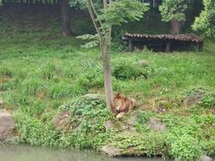 -宁波野生动物园