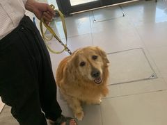 -爱侣宠医·鹦鹉专科·小型哺乳类·异宠专科(灵石路店)