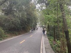 -岳麓山风景名胜区