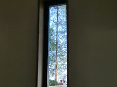 -食膳公园包子铺(烈士公园店)